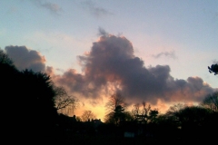 charlottestratton-11