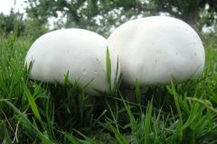 northwestkentcollege-1