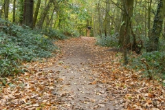 northwestkentcollege-17