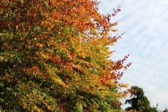 northwestkentcollege-19
