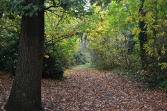 northwestkentcollege-21