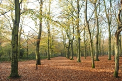 northwestkentcollege-3
