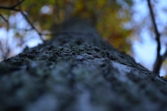 northwestkentcollege-43