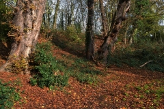 northwestkentcollege-48