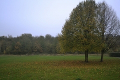northwestkentcollege-52