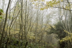 northwestkentcollege-53