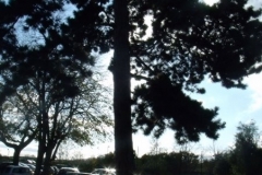 GEDSC DIGITAL CAMERA