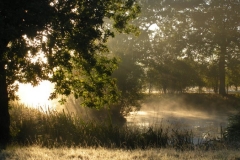 robbiejewsbury-1