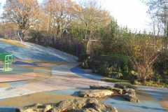 springboard-12