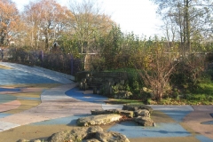 springboard-13