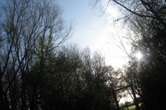 springboard-14