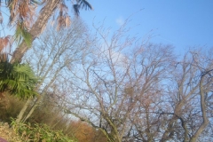 springboard-22