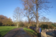 springboard-28