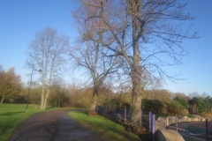 springboard-29