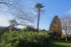 springboard-30