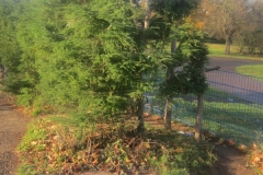 springboard-41