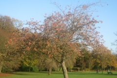 springboard-47