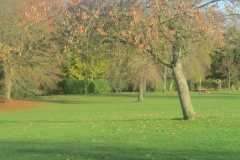 springboard-48
