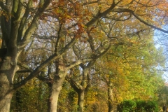 springboard-58