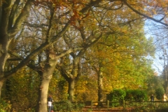 springboard-59