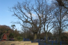 springboard-6