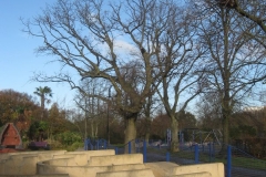 springboard-7