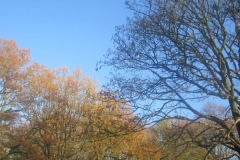 springboard-75