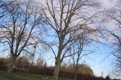 springboard-76