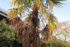 springboard-79