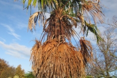 springboard-80