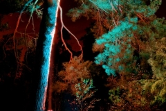 photo-07-11-2010-20-49-35