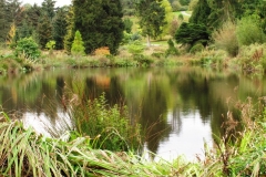 photo-08-10-2011-15-16-43
