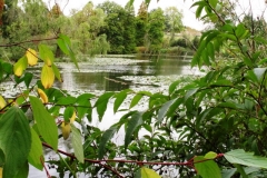 photo-08-10-2011-15-25-29