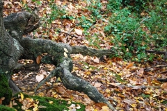 photo-10-11-2011-11-28-24