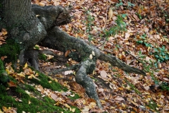 photo-10-11-2011-11-29-40