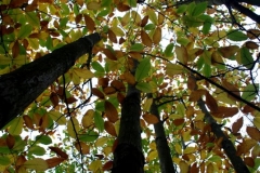 photo-10-11-2011-11-41-49