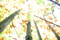 photo-10-11-2011-11-42-39