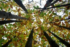 photo-10-11-2011-11-44-12