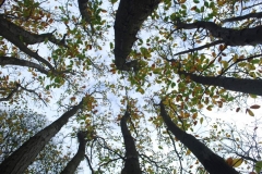 photo-10-11-2011-11-55-51