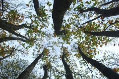 photo-10-11-2011-11-55-55