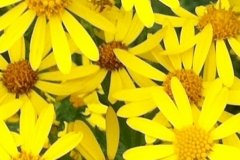 photo-11-08-2011-17-24-22