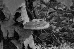 photo-12-10-2011-09-56-00