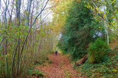 photo-12-11-2011-14-58-19