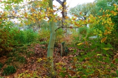 photo-12-11-2011-15-04-40