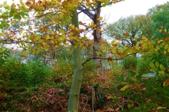 photo-12-11-2011-15-04-58