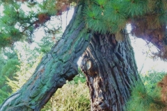 photo-13-11-2011-13-50-12