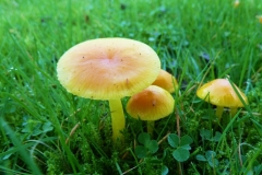 photo-13-11-2011-13-54-44