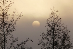 photo-13-12-2010-16-10-14