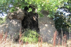 photo-14-10-2011-15-07-55