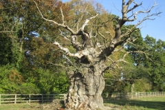 photo-14-10-2011-15-20-54